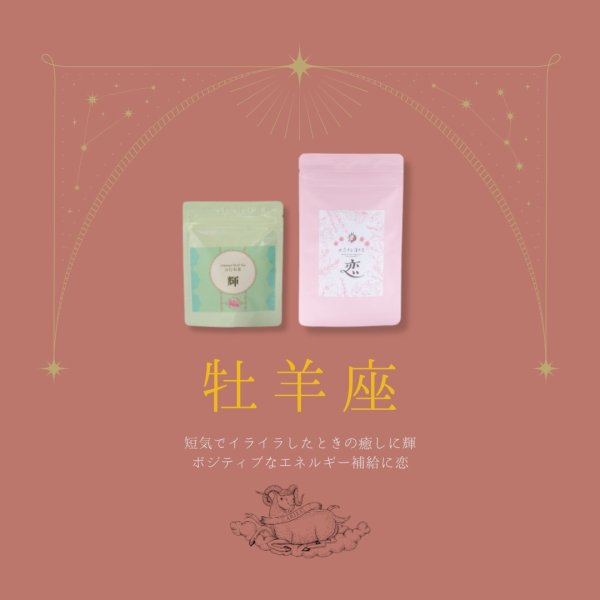 画像1: 牡羊座サポートセット　輝10包,恋10包 (1)